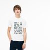 Modashift.shop196a1c7038 4
