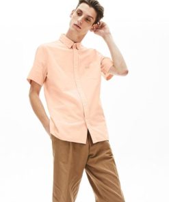 Modashift.shop388ced3853 1