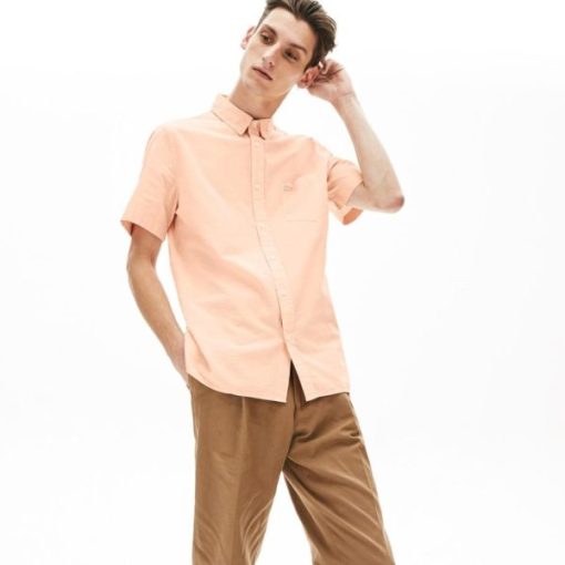 Modashift.shop388ced3853 1