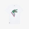 Modashift.shopb8a5629c22 4